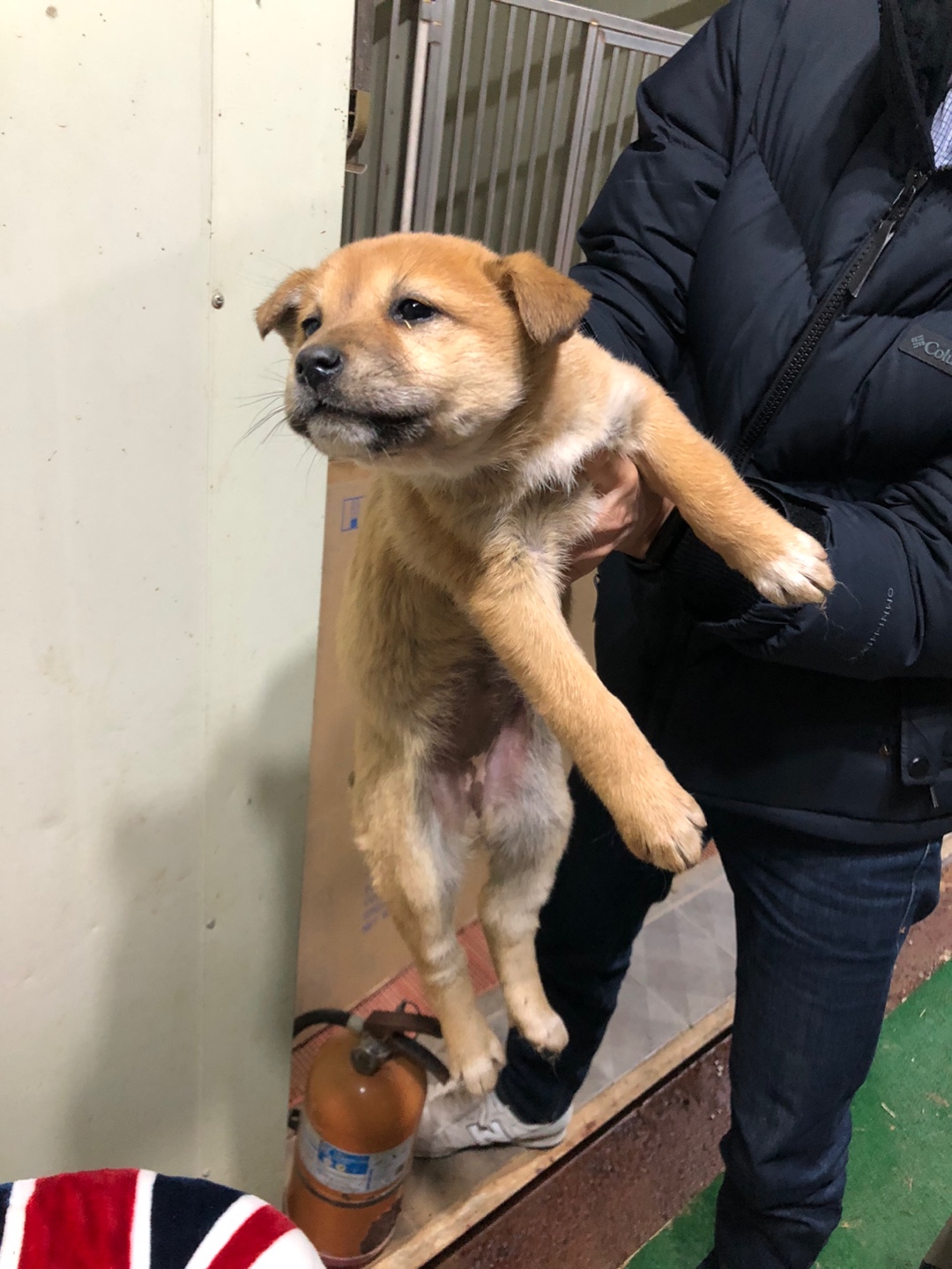 디디동물병원_428357202500119